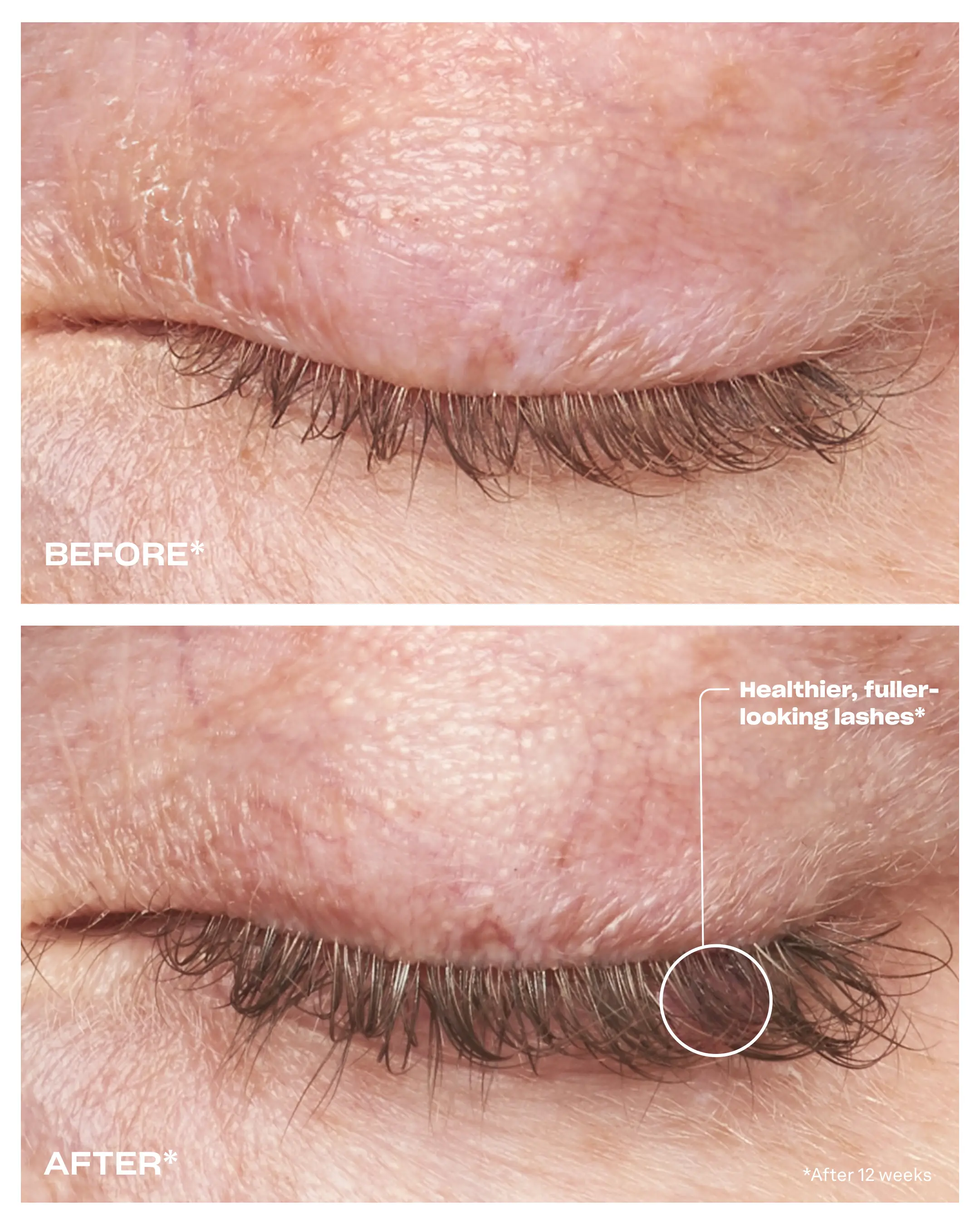 Enhancing Lash Conditioner - Image 4