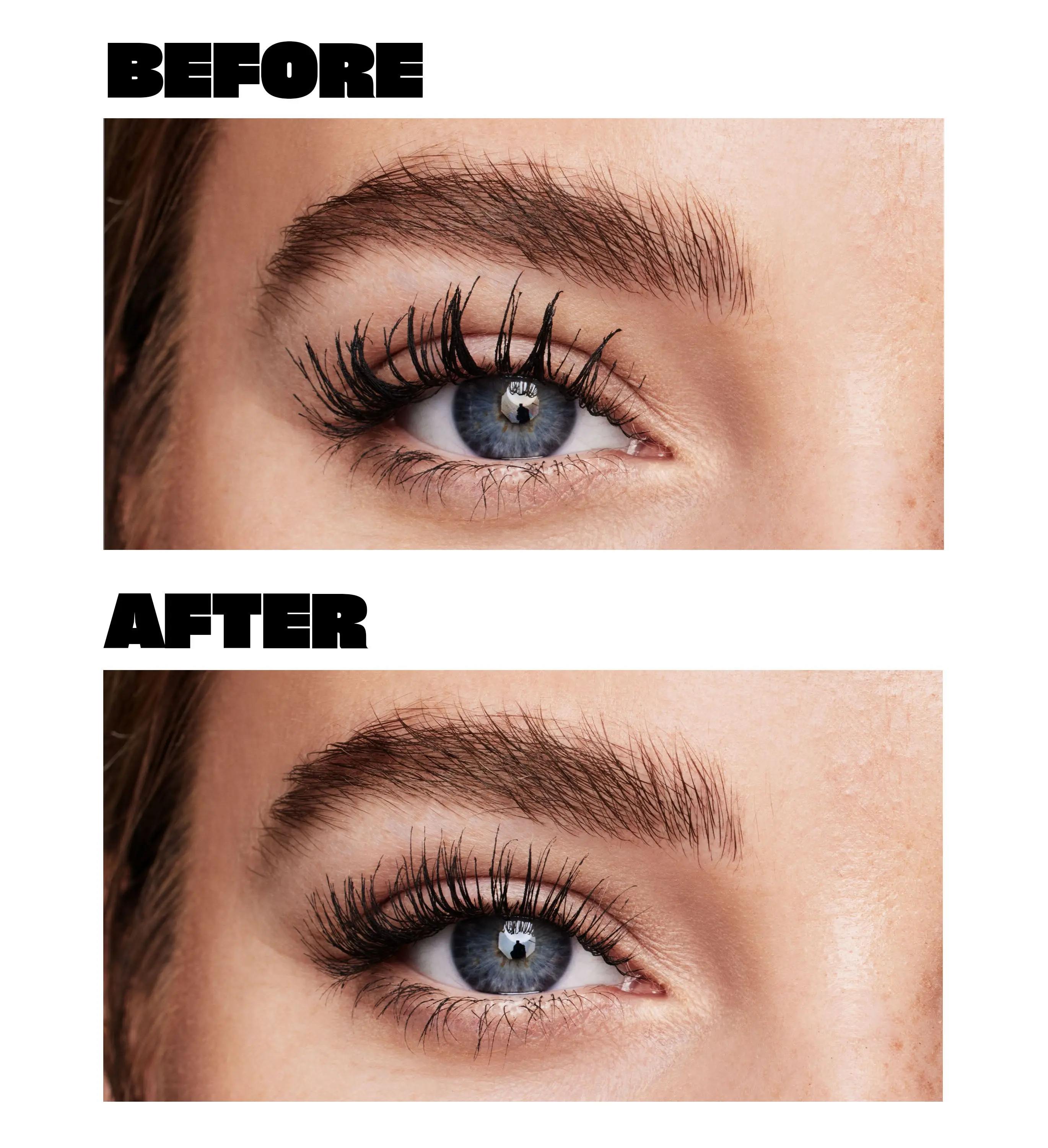 Lash Separator - Image 4