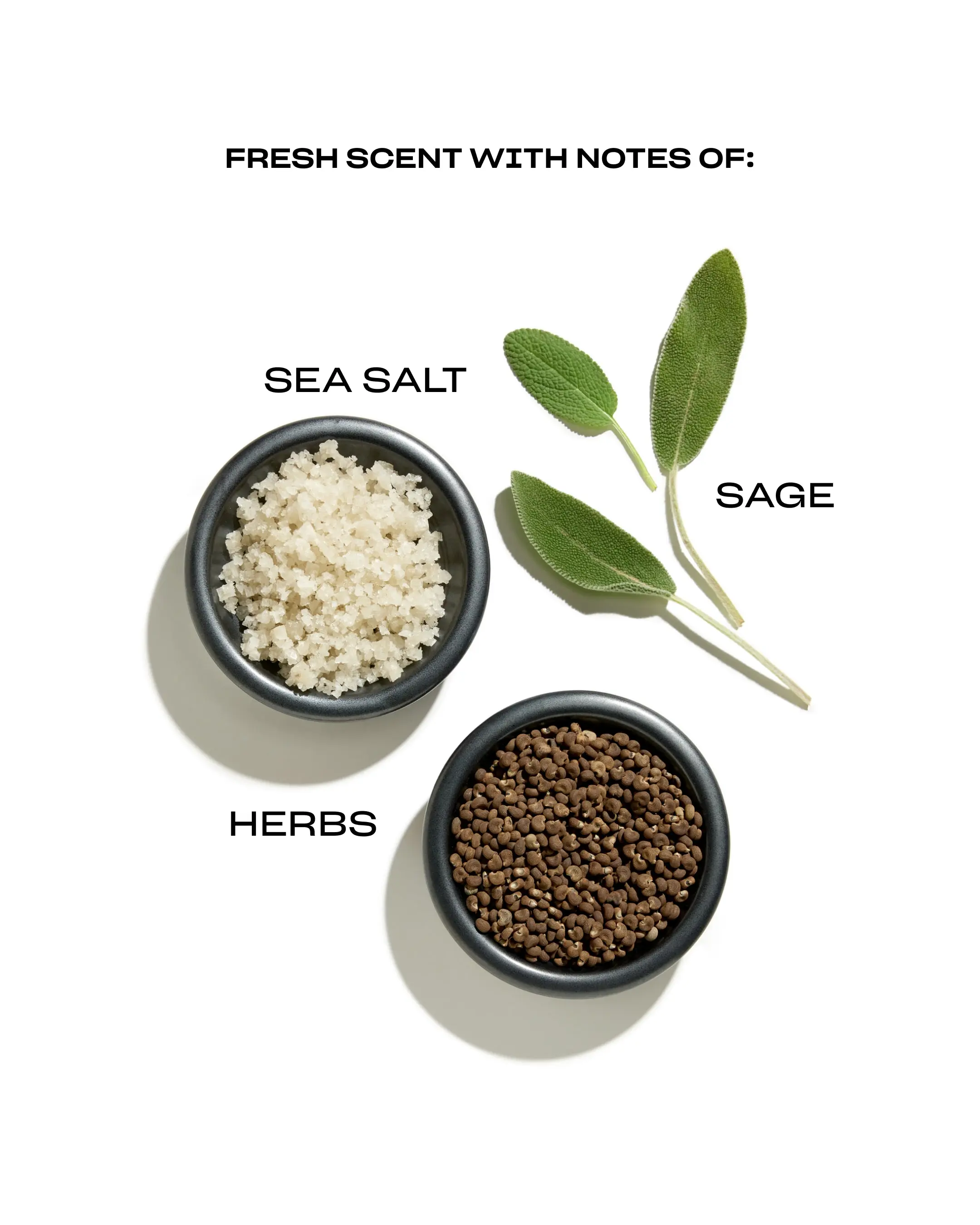 Root Refresh Dry Shampoo Powder - Image 10